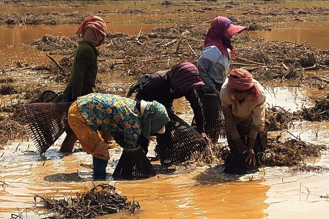 1day private tour all main temple in Angkor,sunset at TonleSap floating village - An In-Depth Look at the Itinerary and Experience