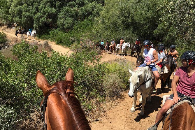 1h  Horse Trail - Who Should Book This Experience?