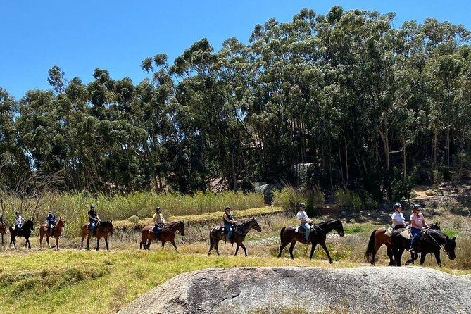 1h  Horse Trail - FAQs