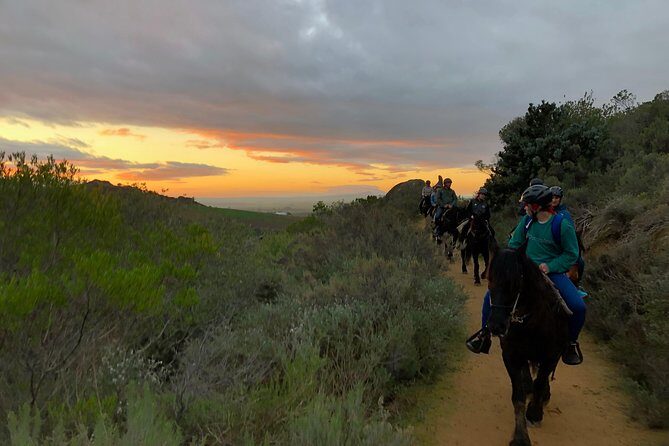 1h  Horse Trail - Final Thoughts