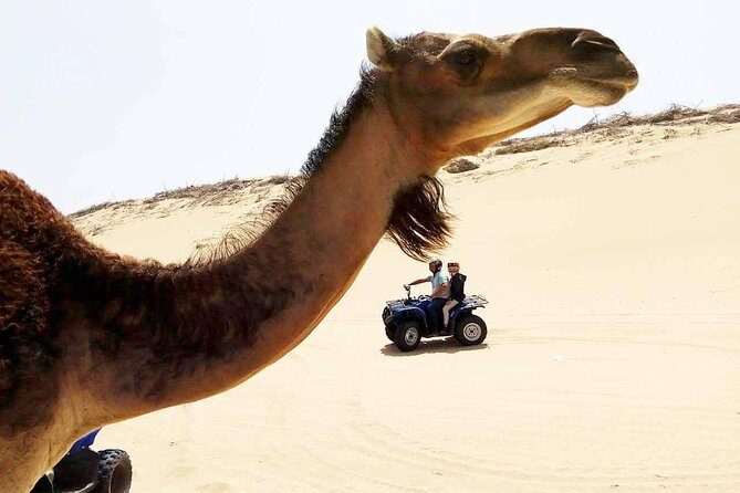 1h quad bike on the beach - An In-Depth Look at the Quad Bike Tour  