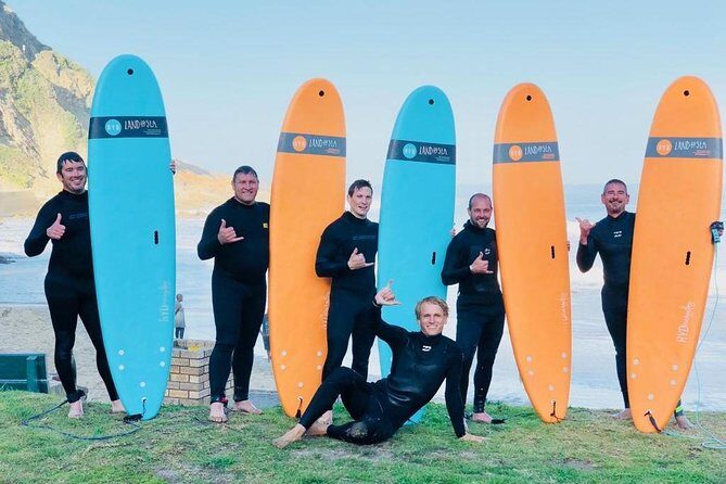 1h15min surfing lessons in Victoria Bay & Wilderness - Who Should Consider This Tour?