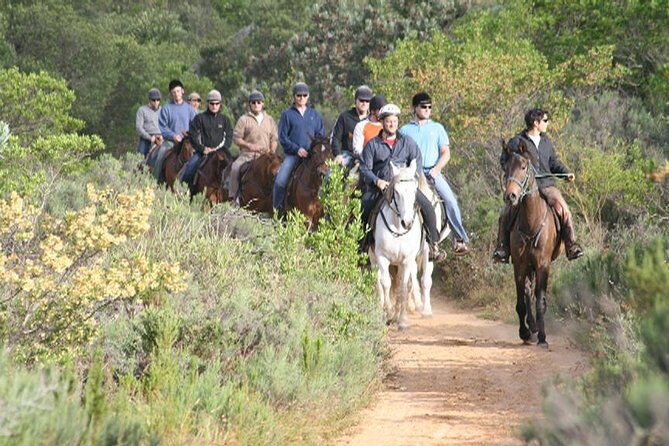 1h30m  Horse Trail - Key Points  