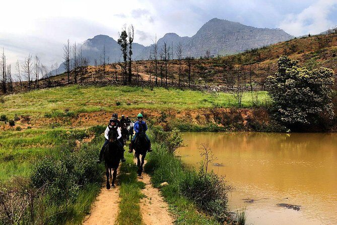 1h30m  Horse Trail - Who Will Love This Tour?