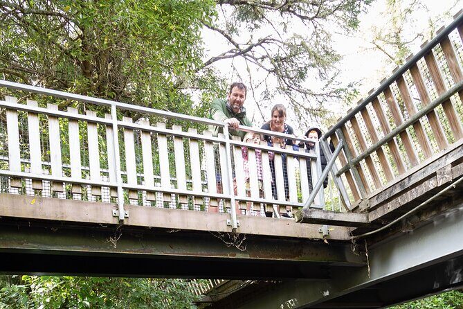 1Hour Guided Tour of Pkaha National Wildlife Centre - Practical Details and Considerations