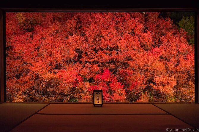 1Night and 2Days Trip to Kinosaki Onsen and Temple - The Journey from Osaka to Kinosaki: How It All Comes Together