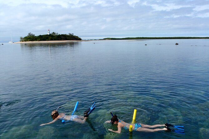 2 1/4 hr Low Isles Reef Sprinter Snorkeling Tour-No Island Access - Key Points