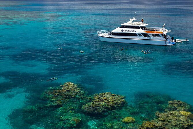 2 1/4 hr Low Isles Reef Sprinter Snorkeling Tour-No Island Access - Considerations Before Booking