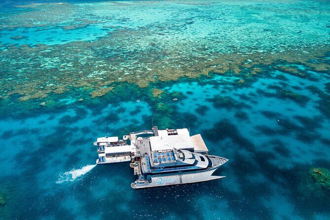 2 1/4 hr Low Isles Reef Sprinter Snorkeling Tour-No Island Access - Pricing and Value