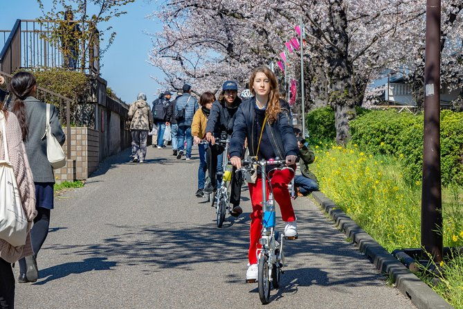 2-5-hour-guided-cycle-tour-in-the-central-tokyo