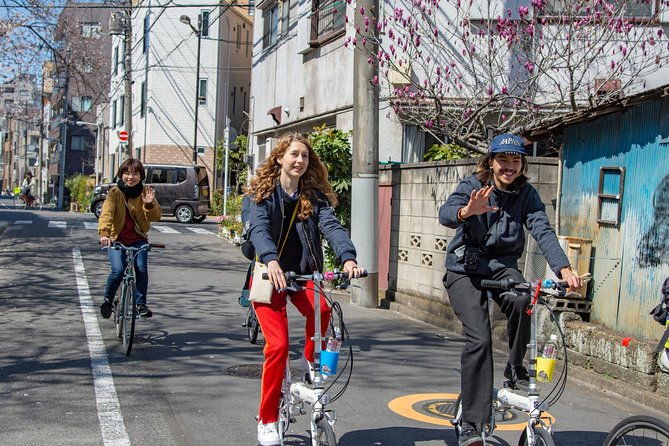 2-5-hour-guided-cycle-tour-in-the-central-tokyo
