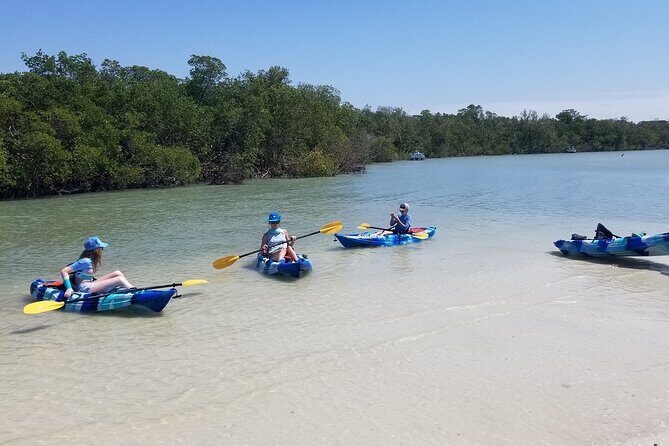 2.5-Hour Guided Group Kayak Tour on Big Hickory Pass - The Experience for Different Travelers