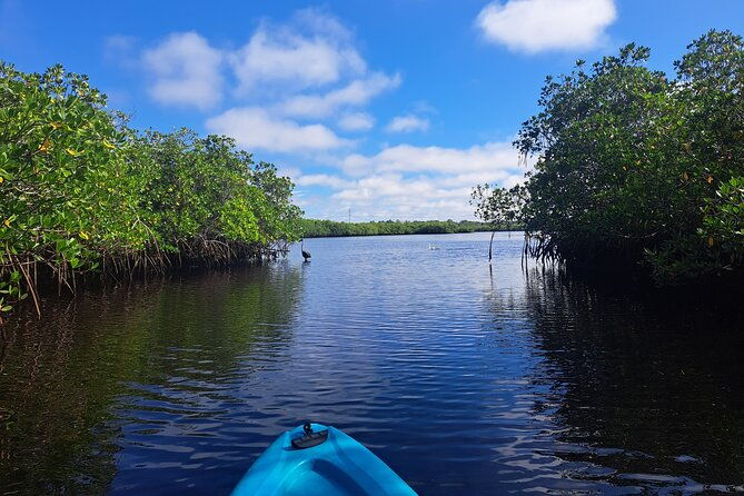 2-5-hour-kayaking-with-manatee-and-history-tour-in-tarpon-springs-2