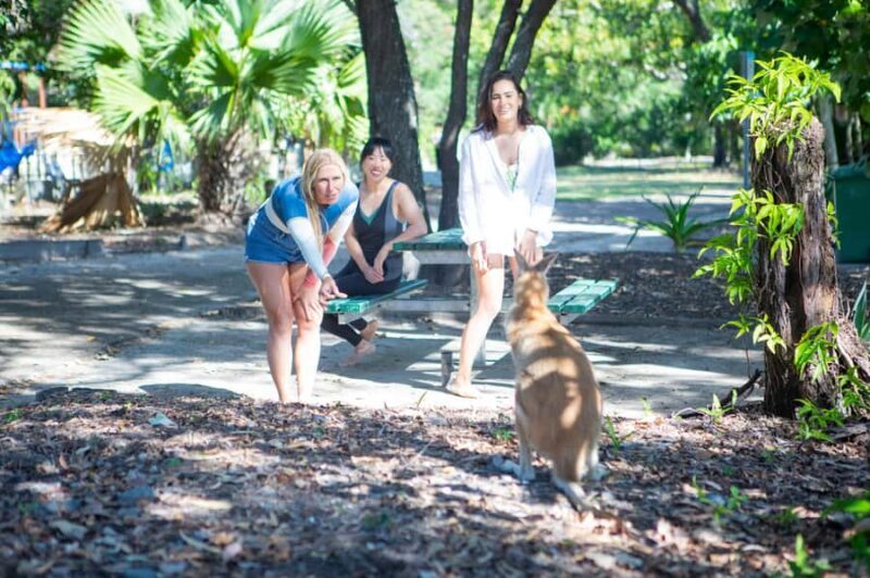 2.5-Hour Ultimate Jet Ski Safari to North Stradbroke Island - Authentic Insights from Reviews