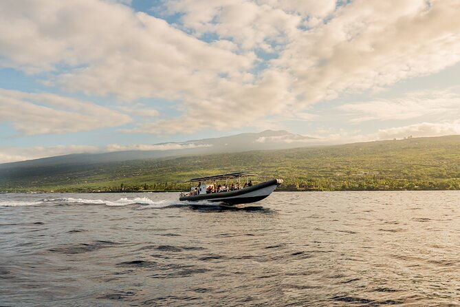 2-5-hour-whale-watching-on-a-41-super-raft