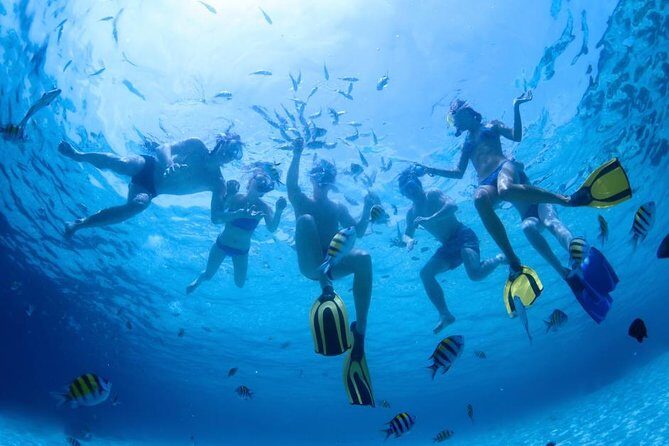 2.5 Hour Xpress Snorkel from Kaanapali Beach - Price and Value