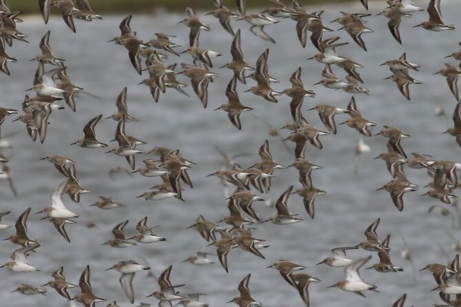 2-5-hours-sightseeing-tour-in-beaulieu-river-2