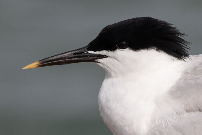 2-5-hours-sightseeing-tour-in-beaulieu-river-2