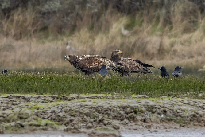 2-5-hours-sightseeing-tour-in-beaulieu-river-2