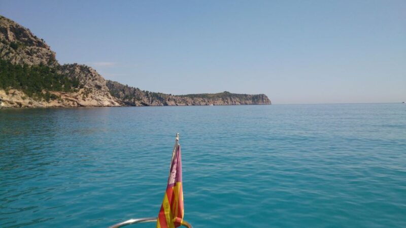 2-5hr-morning-or-sunset-trip-drinks-tapas-sup-snorkel