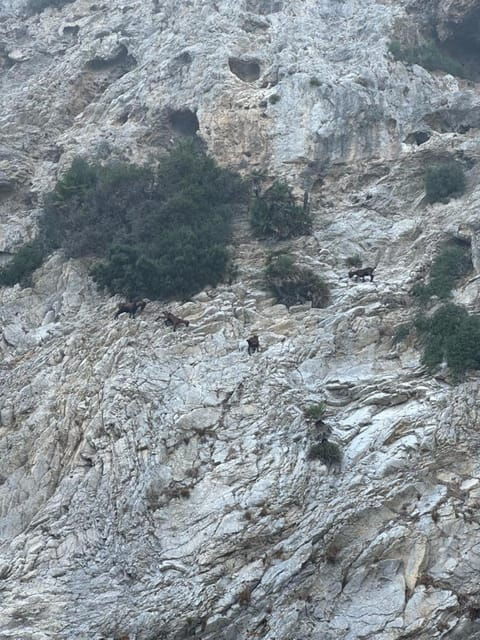 2-5hr-morning-or-sunset-trip-drinks-tapas-sup-snorkel