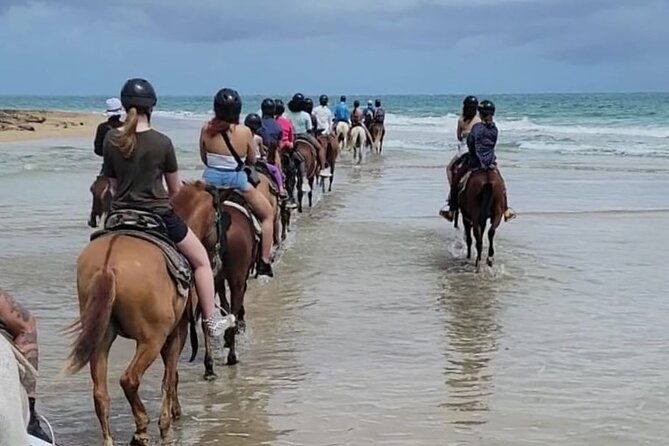 2-5hrs-beach-horseback-ride-experience