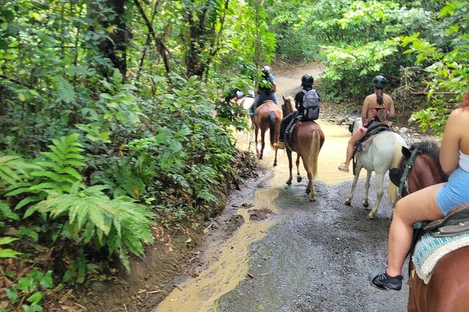 2-5hrs-beach-horseback-ride-experience