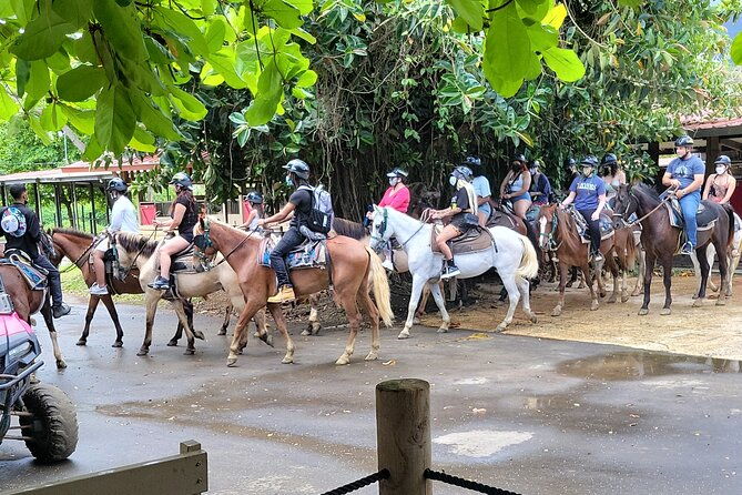 2-5hrs-beach-horseback-ride-experience