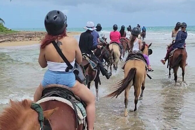 2-5hrs-beach-horseback-ride-experience