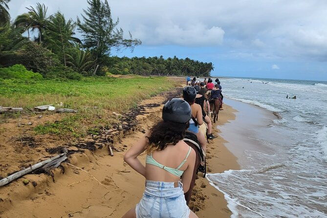 2-5hrs-beach-horseback-ride-experience