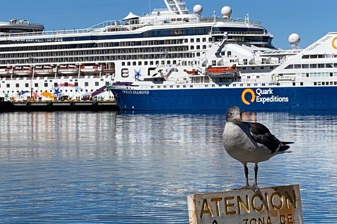 2-activities-in-ushuaia-2-activities-in-el-calafate-in-2-days