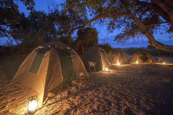 2 Day 1 Night Chobe Safari ex Livingstone/Victoria Falls - Practical Tips for Future Travelers