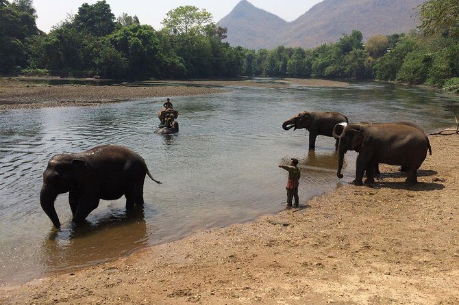 2 day 1 night Elephant World Kanchanaburi from Bangkok - Final Thoughts