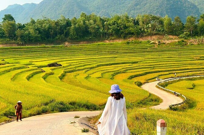 2 Day 1 Night Tour to Pu Luong Nature Reserve - Who Should Consider This Tour?