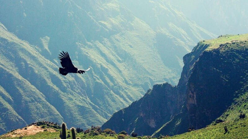 2-day-1-night-trek-colca-canyon-3