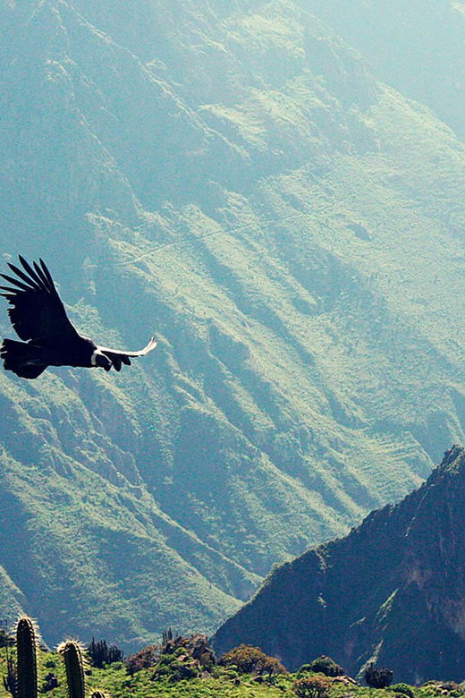 2-day-1-night-trek-colca-canyon-3