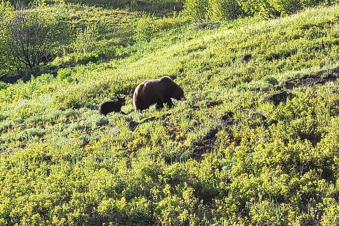 2-day-1-night-yellowstone-with-expert-guide
