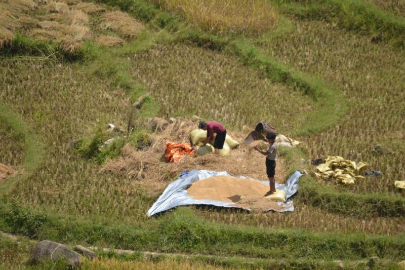 2 Day-2 Night Sapa Trekking: Overnight Train &Limousine Bus - Key Points