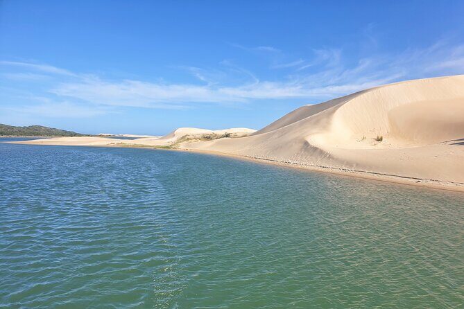 2 Day Addo Elephant Park Safari - Who This Tour is Perfect For