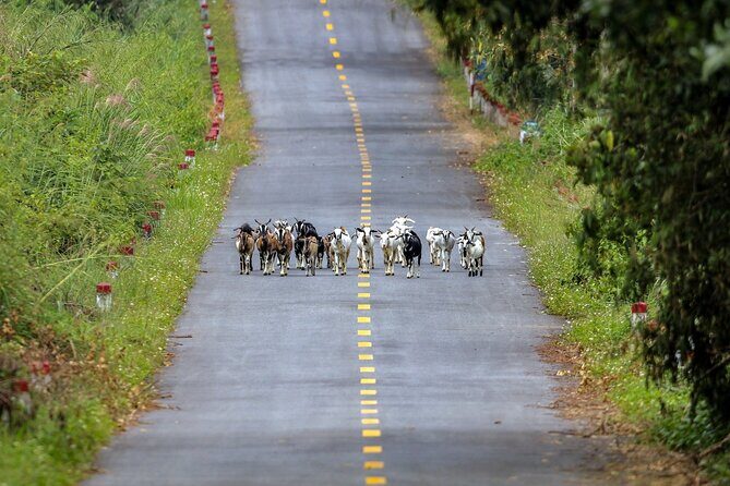 2-Day Adventure Cat Ba Archipelago, Viet Hai Village & Lan Ha Bay - Key Points