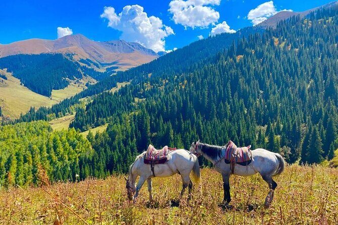 2-Day Adventure: Horseback Riding, Konorchek Canyons & Yurt Stay - FAQ