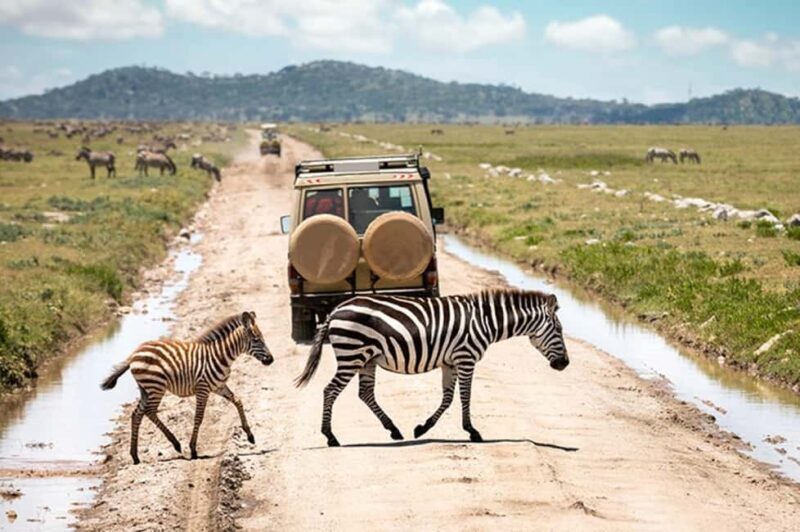 2 DAY-ADVENTURE SAFARI IN TANZANIA - Key Points