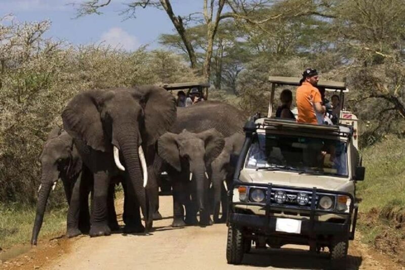 2 DAY-ADVENTURE SAFARI IN TANZANIA - Exploring the Itinerary: What You’ll Actually Do