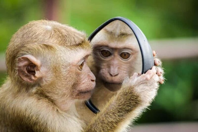 2 DAY-ADVENTURE SAFARI IN TANZANIA - Authentic Experiences & Real Traveler Feedback