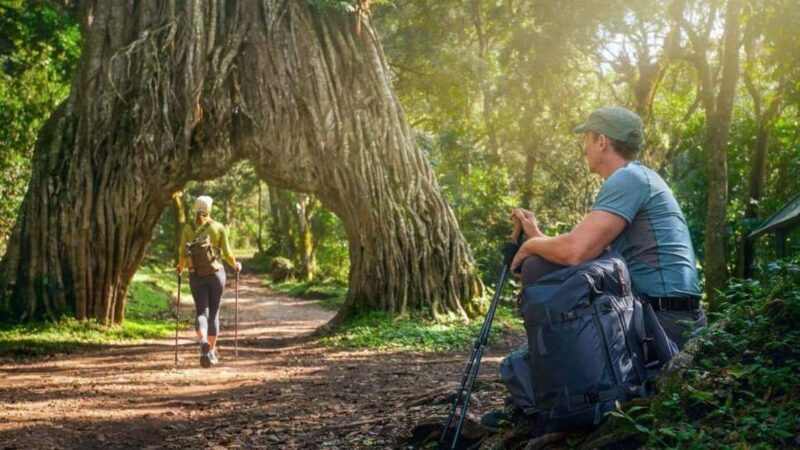 2-Day African Natural Wonders Safari - Things to Keep in Mind