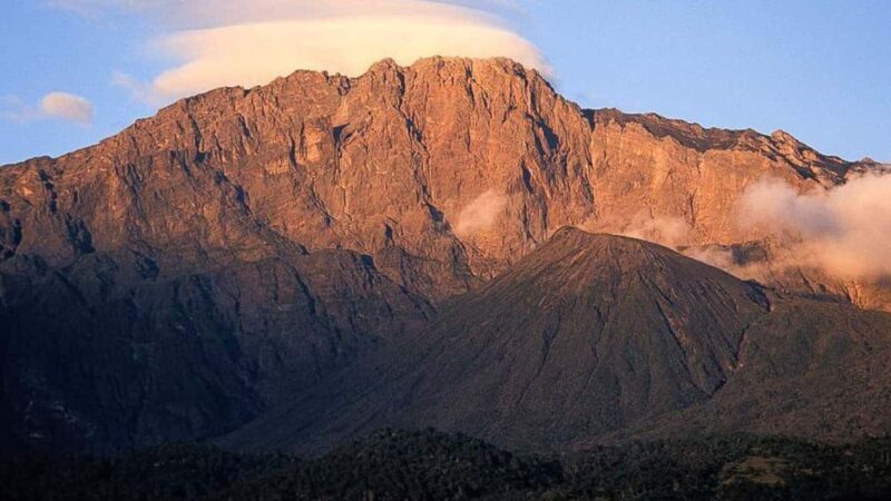 2-Day African Natural Wonders Safari - FAQ