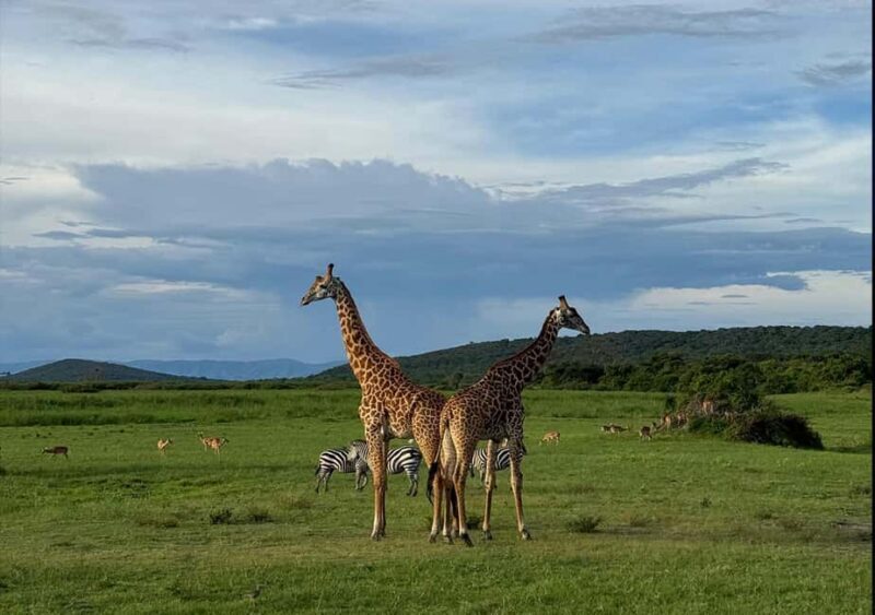 2 Day Akagera Big 5 Game drive Safari & Highest Peak Camping - Practical Details and What’s Included