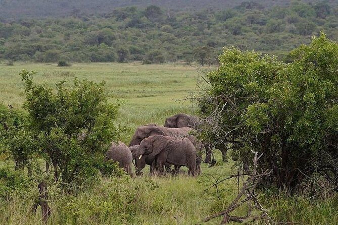2-Day Akagera National Park Safari Adventure - The Itinerary in Detail