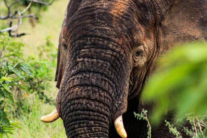 2-Day Akagera National Park Safari Adventure - Who is This Tour Best Suited For?