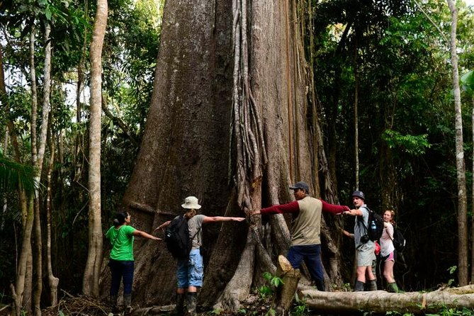 2-day-all-inclusive-guided-jungle-tour-from-iquitos-at-maniti-eco-lodge